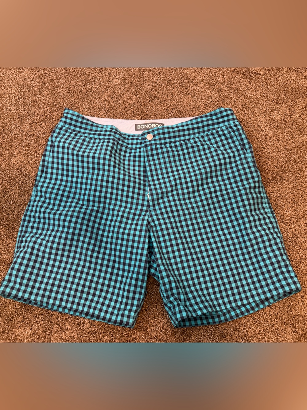 Bonobos Teal and Black Gingham swim Shorts